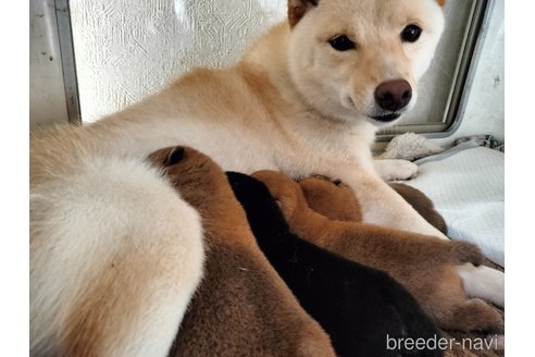 ちゃん1枚目