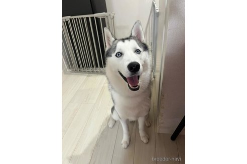 ウィズくん1枚目