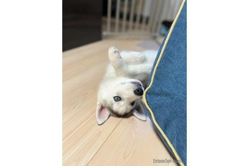 ウィズくん1枚目