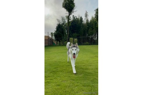 ウィズくん1枚目