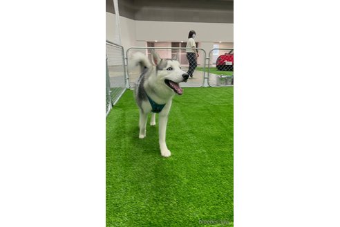 ウィズくん1枚目