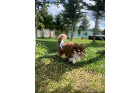 福太郎くん1枚目