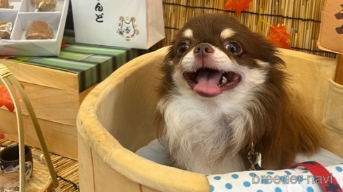 福太郎くん1枚目