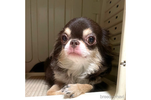 バウムちゃんちゃん1枚目