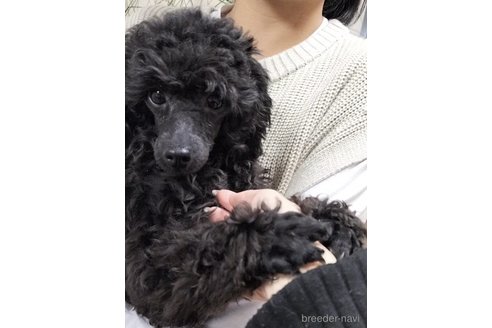 ミカちゃん1枚目