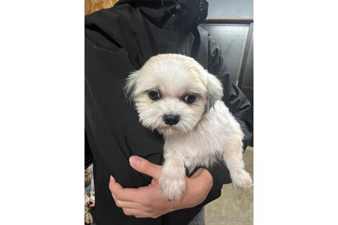 サリーちゃんちゃん1枚目