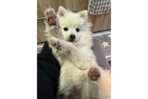 ちゃん1枚目