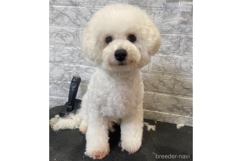 エルサちゃん1枚目