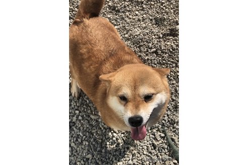 姫ちゃんちゃん1枚目