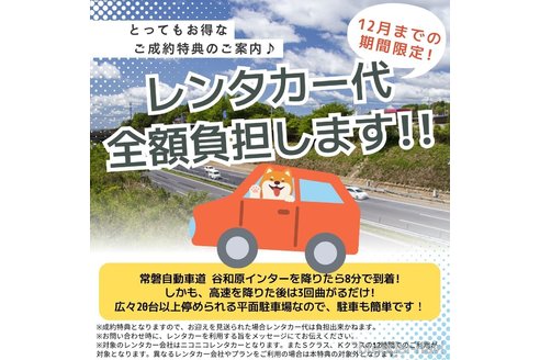 成約済の茨城県のミニチュアダックスフンド(ロングヘアード)-357677の11枚目
