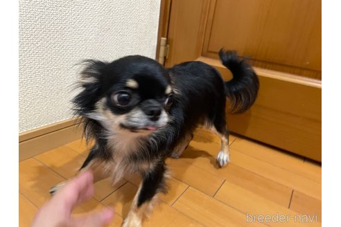 ダンくん1枚目