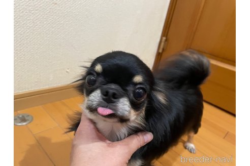 ダンくん1枚目