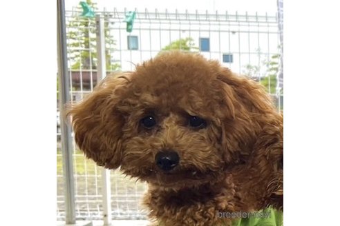 凛ちゃん1枚目