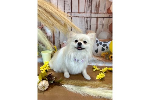 琴海ちゃん1枚目