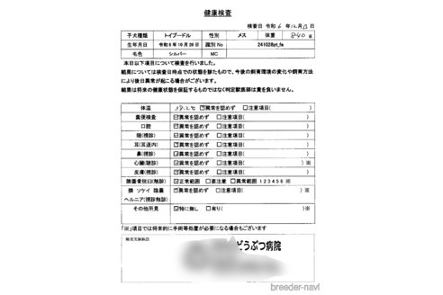 成約済の京都府のタイニープードル-356288の10枚目