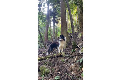 ちゃん1枚目