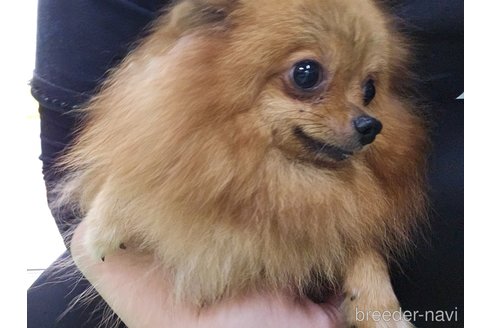 バローちゃん1枚目