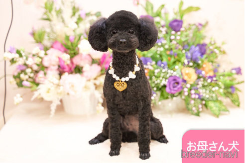 ニモちゃん1枚目