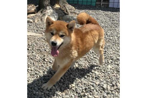 晴市くん1枚目