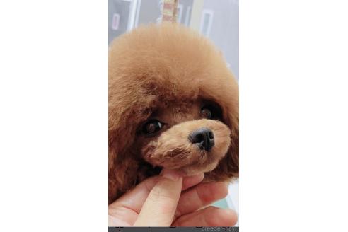 くん1枚目