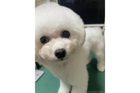 ちゃん1枚目