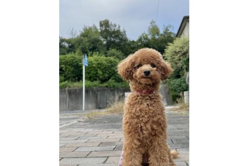 まさみちゃん1枚目