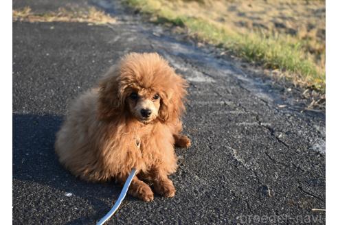 まさみちゃん1枚目
