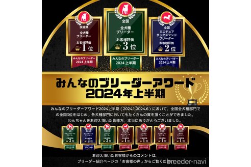 成約済の茨城県のポメラニアン-360540の11枚目