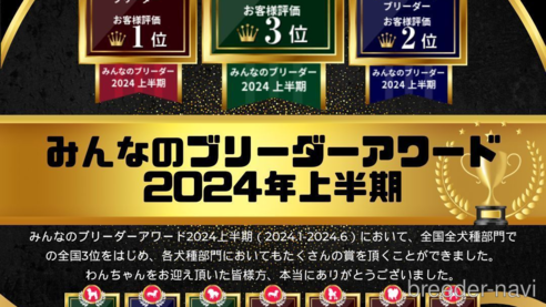 成約済の茨城県のチワズー:チワワ×シーズー-360530の5枚目