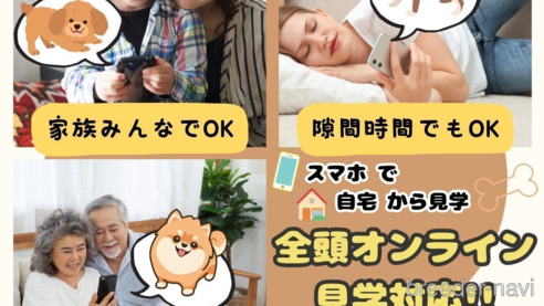 成約済の埼玉県のチワプー:チワワ×トイプードル-360453の7枚目
