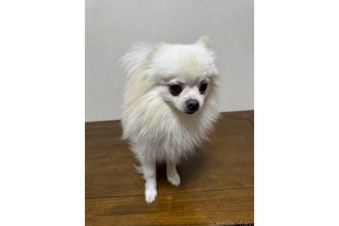 くん1枚目