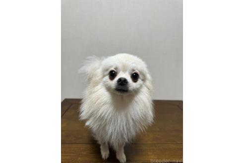 くん1枚目