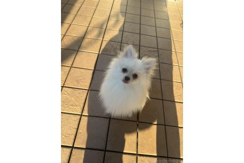 ちゃん1枚目
