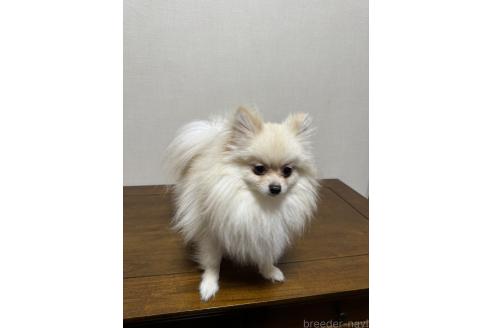 ちゃん1枚目