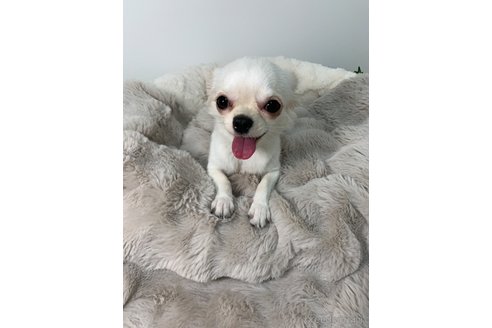 ユキちゃん1枚目