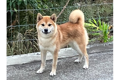 くん1枚目