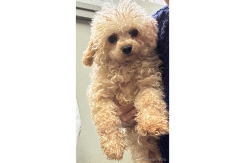 健くん1枚目