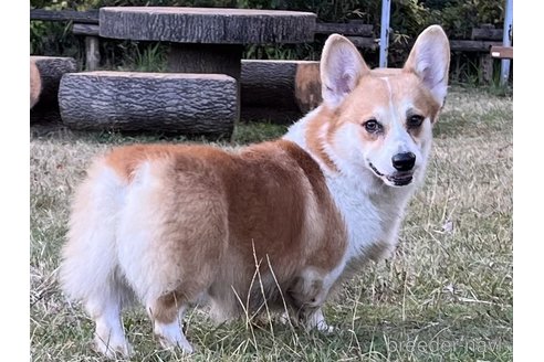 Royくん1枚目