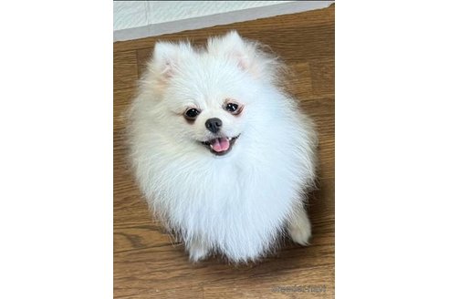 ゆきみちゃん1枚目
