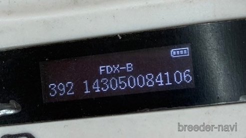 成約済の長野県の柴犬-361227の2枚目