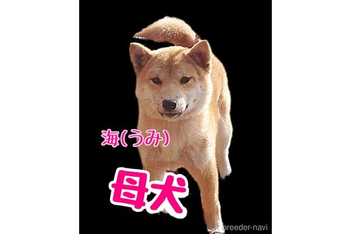 海( う み )ちゃん1枚目