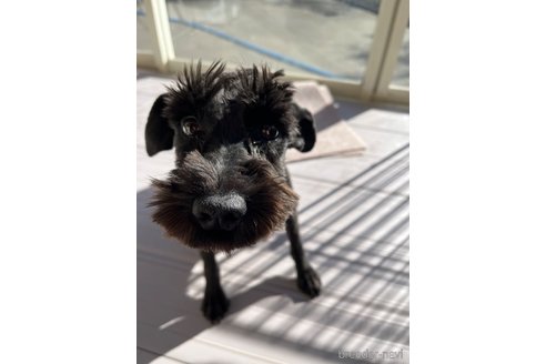 ちゃん1枚目