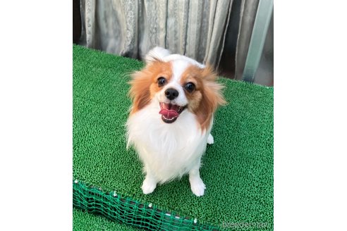 ちゃん1枚目