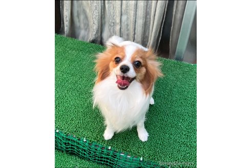 ちゃん1枚目
