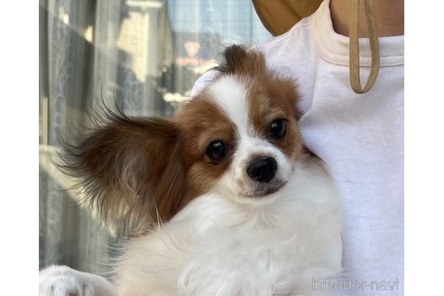 ちゃん1枚目