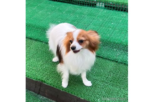 ちゃん1枚目
