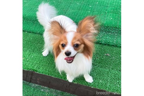 ちゃん1枚目