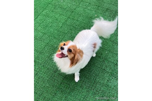 ちゃん1枚目