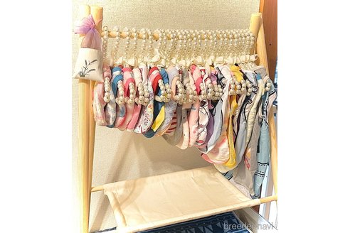 成約済の愛知県のミニチュアピンシャー(ミニピン)-361725の3枚目