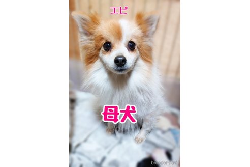 エピちゃん1枚目